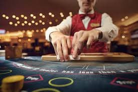 Dasbor cashback mingguan agen 5000 menampilkan ringkasan kerugian dan pengembalian
